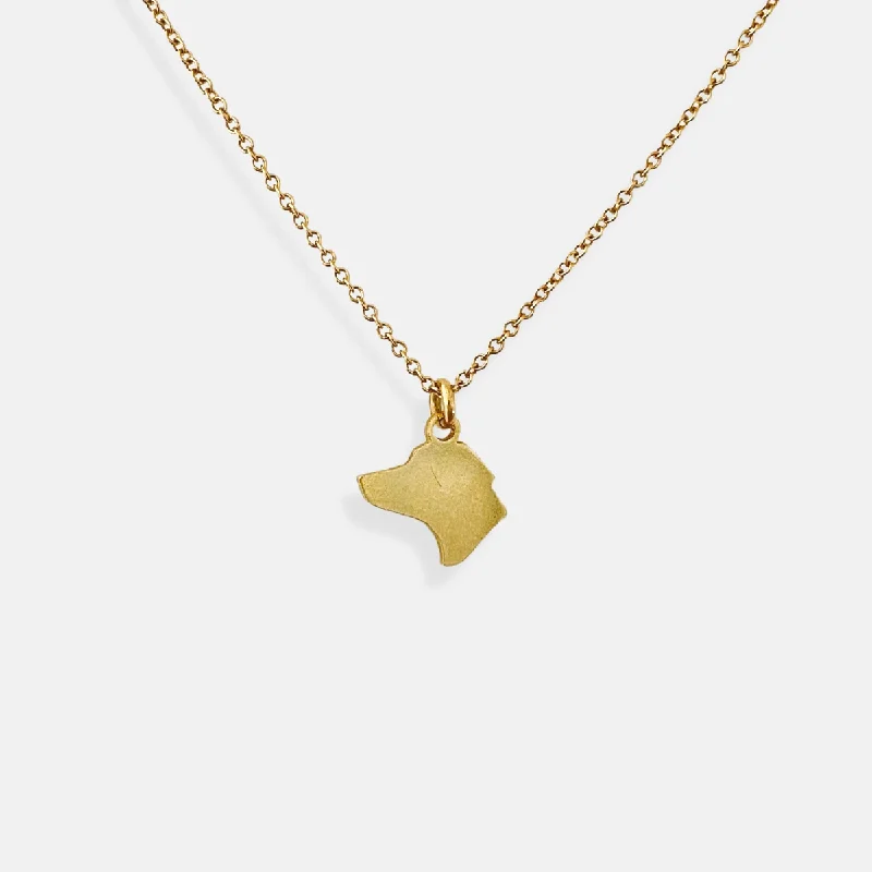 Ladies unique star pendant necklaces -Custom Pet Charm Necklace - Tiny